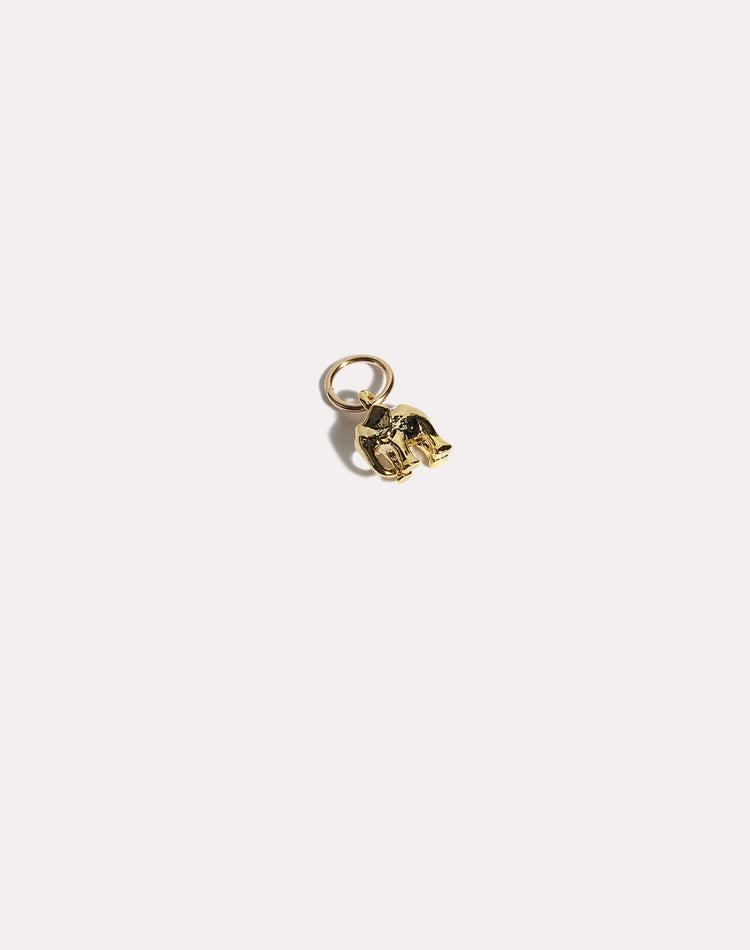 Amana Mini Earring Charm in Gold